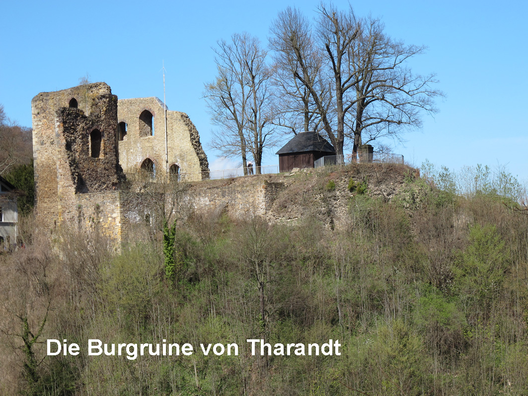 7 - Burgruine Tharandt