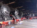 Dampflokomotiven-im-Rundhaus-1