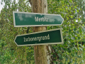 50-Wandertag-07.06.2025-19-Jetzt-noch-ein-Abstecher-zum-Merbitzer-Weinberg