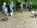 50-Wandertag-07.06.2025-5-Zeit-zum-Verschnaufen-