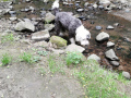 50-Wandertag-07.06.2025-7-Auch-Ivo-muss-was-trinken