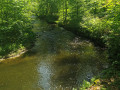 50-Seifersdorfer-Tal-12.05.2024-13