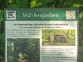 50-Seifersdorfer-Tal-12.05.2024-17
