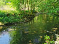 50-Seifersdorfer-Tal-12.05.2024-4