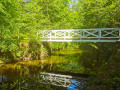 50-Seifersdorfer-Tal-12.05.2024-5