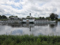 50-Wandertag-Pillnitz-13.06.2026-24