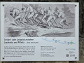 50-Wandertag-Pillnitz-13.06.2026-30