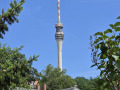 50-Wandertag-Pillnitz-13.06.2026-36