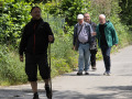 50-Wandertag-Pillnitz-13.06.2026-38