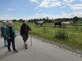 50-Wandertag-Pillnitz-13.06.2026-45