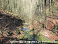 3 - Wildbach