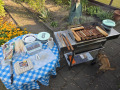 50-Grillen-im-Kleingarten-16.08.2026-13