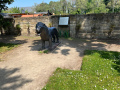 Dresden-Friedrichstadt-20.05.2023-14-Skulptur-Der-Loewe-Aufgestellt-im-Garten-des-Cafe-Restaurant-Friedrichstadt-
